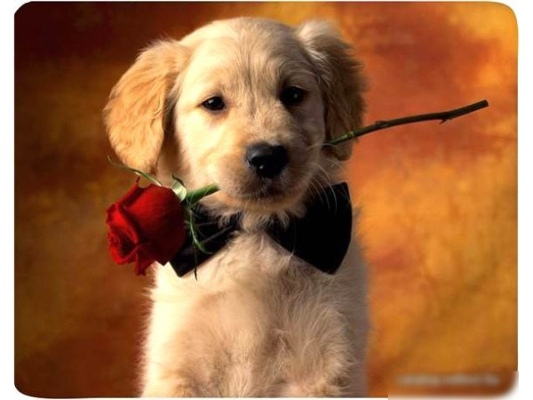 Коврик для мыши Buro BU-M40089