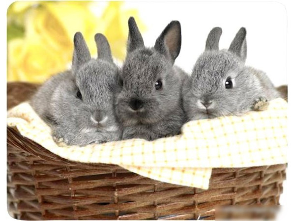 Коврик для мыши Buro BU-M40092