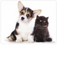 Коврик для мыши Buro BU-M40095