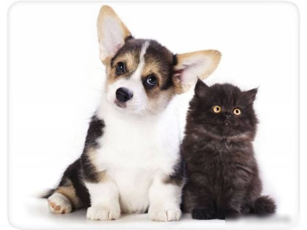 Коврик для мыши Buro BU-M40095