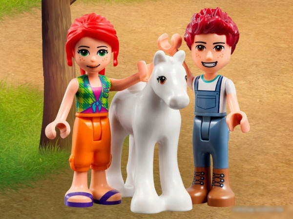 Конструктор LEGO Friends 41696 Конюшня для мытья пони