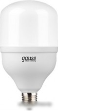 Светодиодная лампа Gauss Elementary T100 E27 32 Вт 6500 K 63233