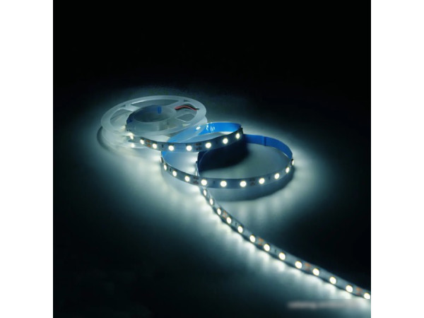 Светодиодная лента Gauss Basic LED 5050/60 12V 8W/m 900lm/m 4000K 10mm IP20 3m 1/100 BT023