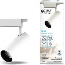 Трековый светильник Gauss TR066