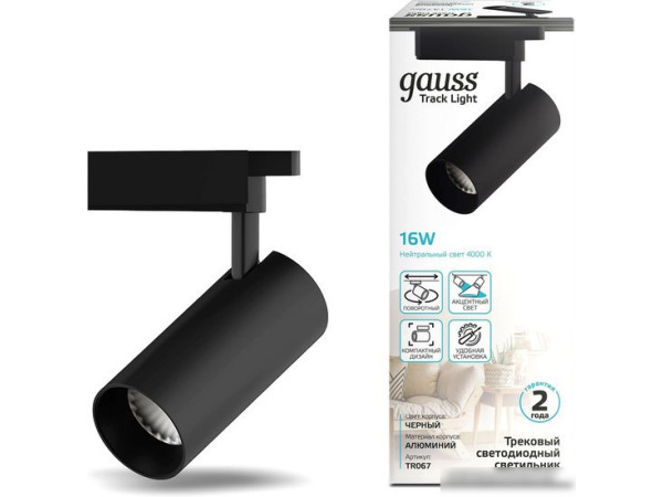 Трековый светильник Gauss TR067