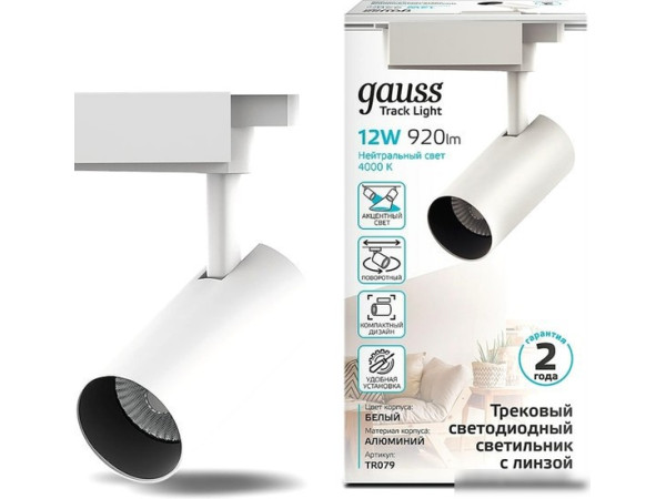 Трековый светильник Gauss TR079