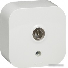 Розетка телевизионная Legrand Quteo 7 822 15 (белый)