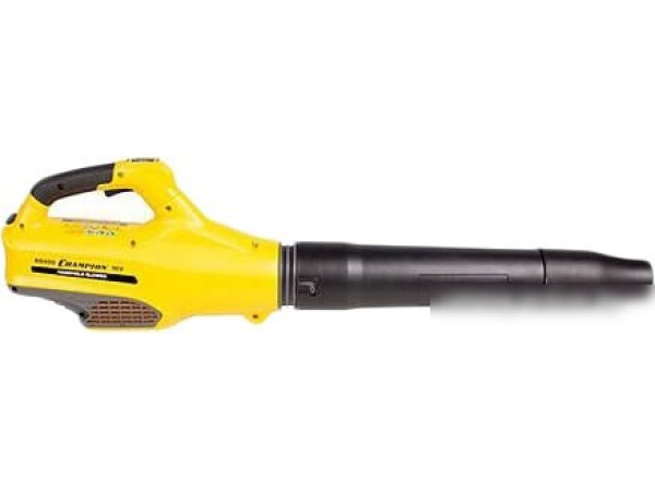 Ручная воздуходувка Champion BB400 (без АКБ)