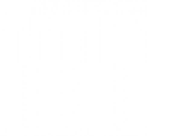 Триммер Hyundai Z 451