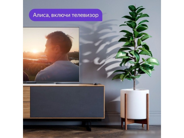 Пульт ДУ Яндекс YNDX-0006