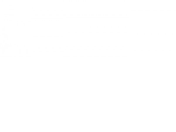 Дрель-миксер Ресанта СМ-1600Э-2