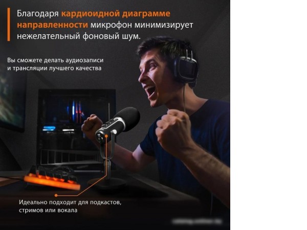 Проводной микрофон SunWind SW-SM500G