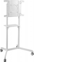 Кронштейн CACTUS CS-ST1146WT