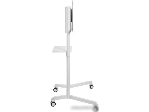 Кронштейн CACTUS CS-ST1146WT