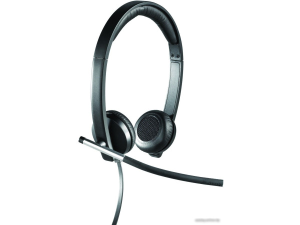 Офисная гарнитура Logitech H650e USB Stereo