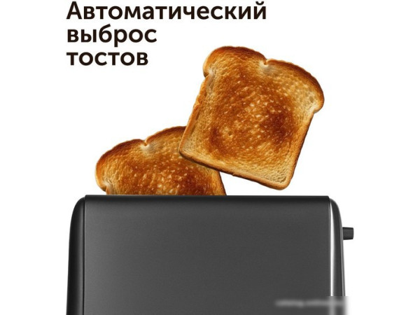 Тостер RED evolution RT-44
