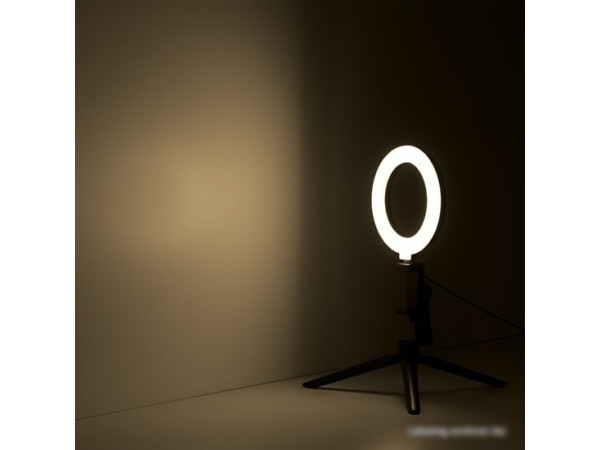 Кольцевая лампа Gauss RL001