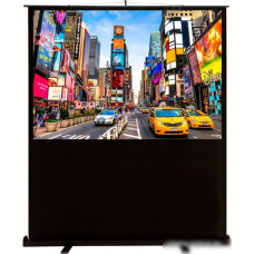 Проекционный экран CACTUS FloorCompactExpert 113x200 CS-PSFLCE-200X113