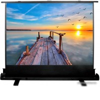 Проекционный экран CACTUS FloorExpert 113x200 CS-PSFLE-200х113