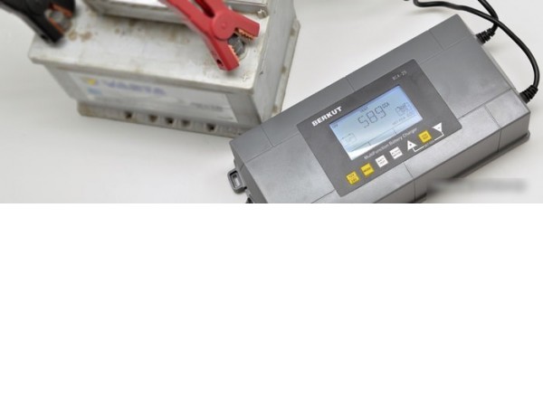 Зарядное устройство Беркут BCA-25