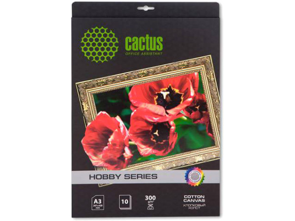 Холст CACTUS Холст A3 300 г/м2 10 листов [CS-СA326010]