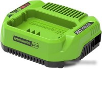 Зарядное устройство Greenworks G60UC (60В)