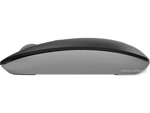 Мышь A4Tech Fstyler FG20S (серый)