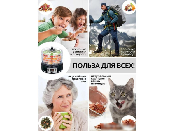 Сушилка для овощей и фруктов GFgril GFD-002