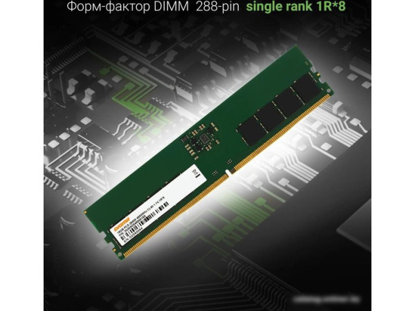 Оперативная память Digma 16ГБ DDR5 4800 МГц DGMAD54800016S