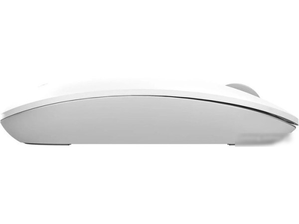 Мышь A4Tech Fstyler FG20S (белый)