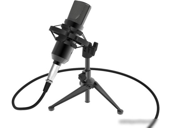 Проводной микрофон Ritmix RDM-160