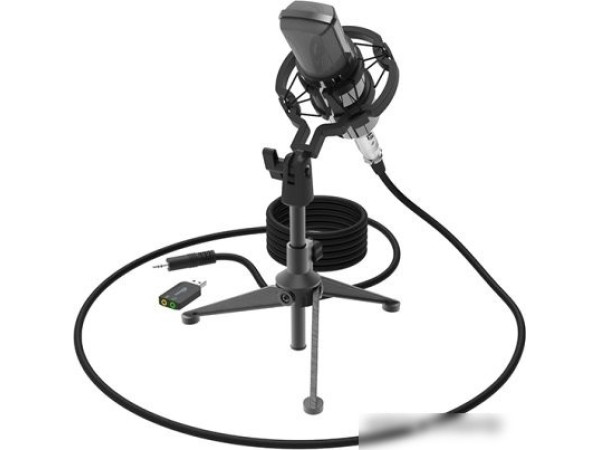 Проводной микрофон Ritmix RDM-160