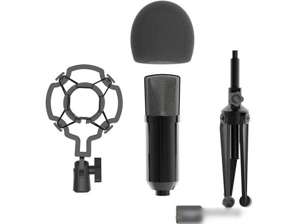 Проводной микрофон Ritmix RDM-160