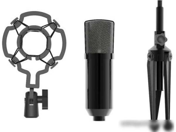 Проводной микрофон Ritmix RDM-160