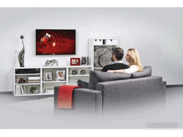 Кронштейн Hama 00220813