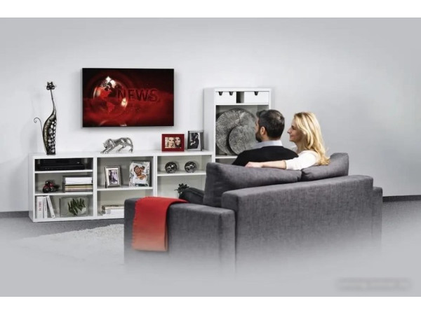 Кронштейн Hama 00220805