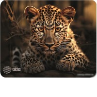 Коврик для мыши CACTUS CS-MP-D06S