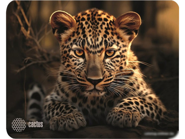 Коврик для мыши CACTUS CS-MP-D06S