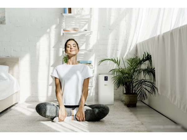 Очиститель воздуха Karcher AF 50 1.024-822.0