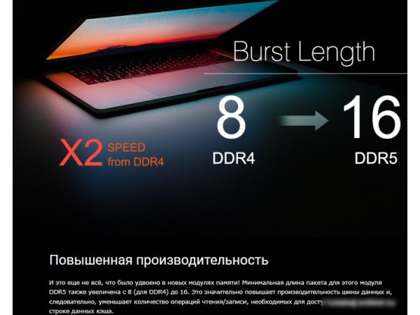 Оперативная память Silicon-Power 16ГБ DDR5 5200 МГц SP016GBLVU520F02