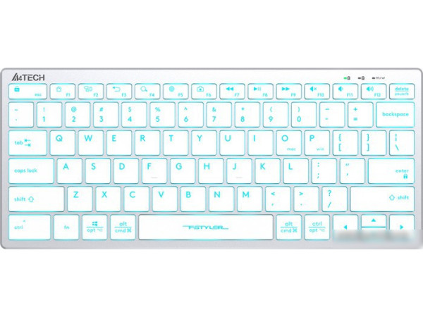 Клавиатура A4Tech Fstyler FX61 (серебристый/белый)