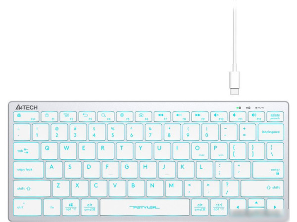 Клавиатура A4Tech Fstyler FX61 (серебристый/белый)