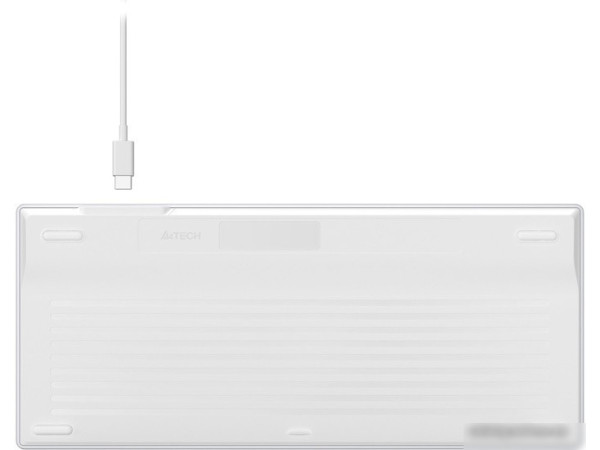 Клавиатура A4Tech Fstyler FX61 (серебристый/белый)