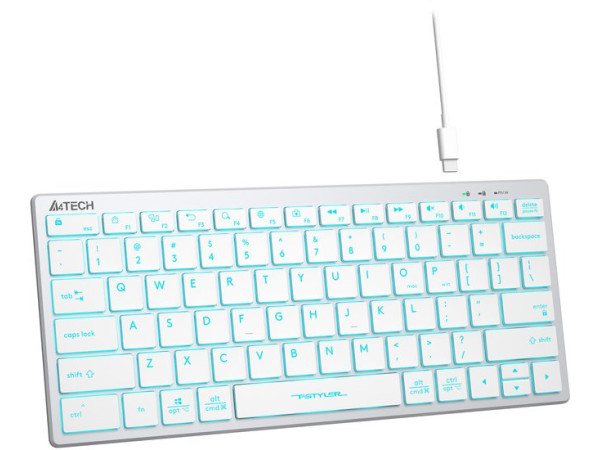 Клавиатура A4Tech Fstyler FX61 (серебристый/белый)
