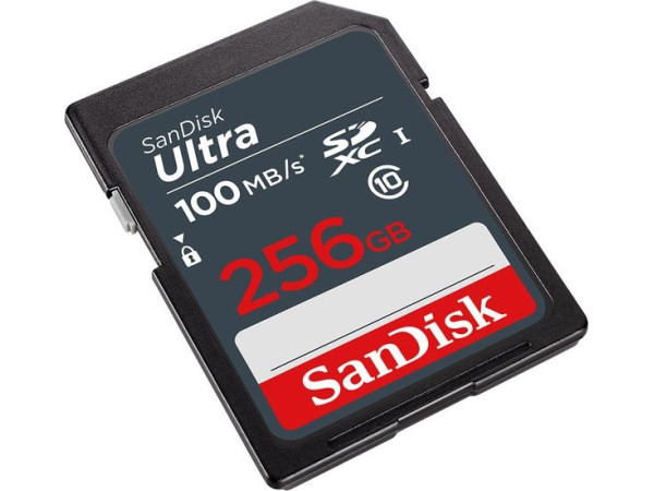 Карта памяти SanDisk Ultra SDXC SDSDUNR-256G-GN3IN 256GB