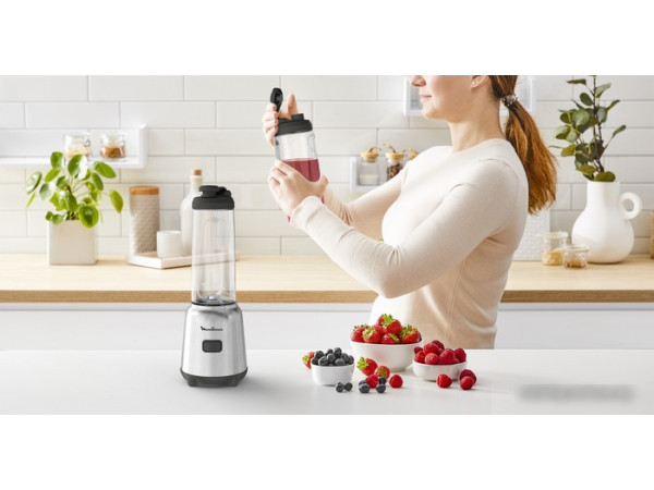 Стационарный блендер Moulinex Mix&Move LM15FD10