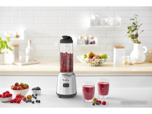 Стационарный блендер Moulinex Mix&Move LM15FD10