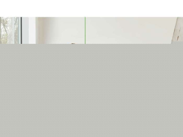 Лазерный нивелир Bosch Quigo Green 0603663C20