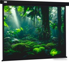 Проекционный экран CACTUS Wallscreen 213x213 CS-PSW-213X213-BK