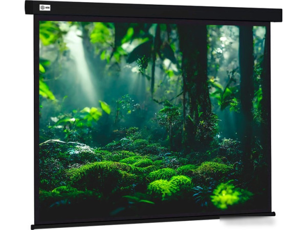 Проекционный экран CACTUS Wallscreen 213x213 CS-PSW-213X213-BK